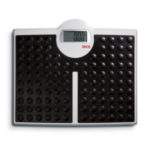 Seca 813 Floor Scale